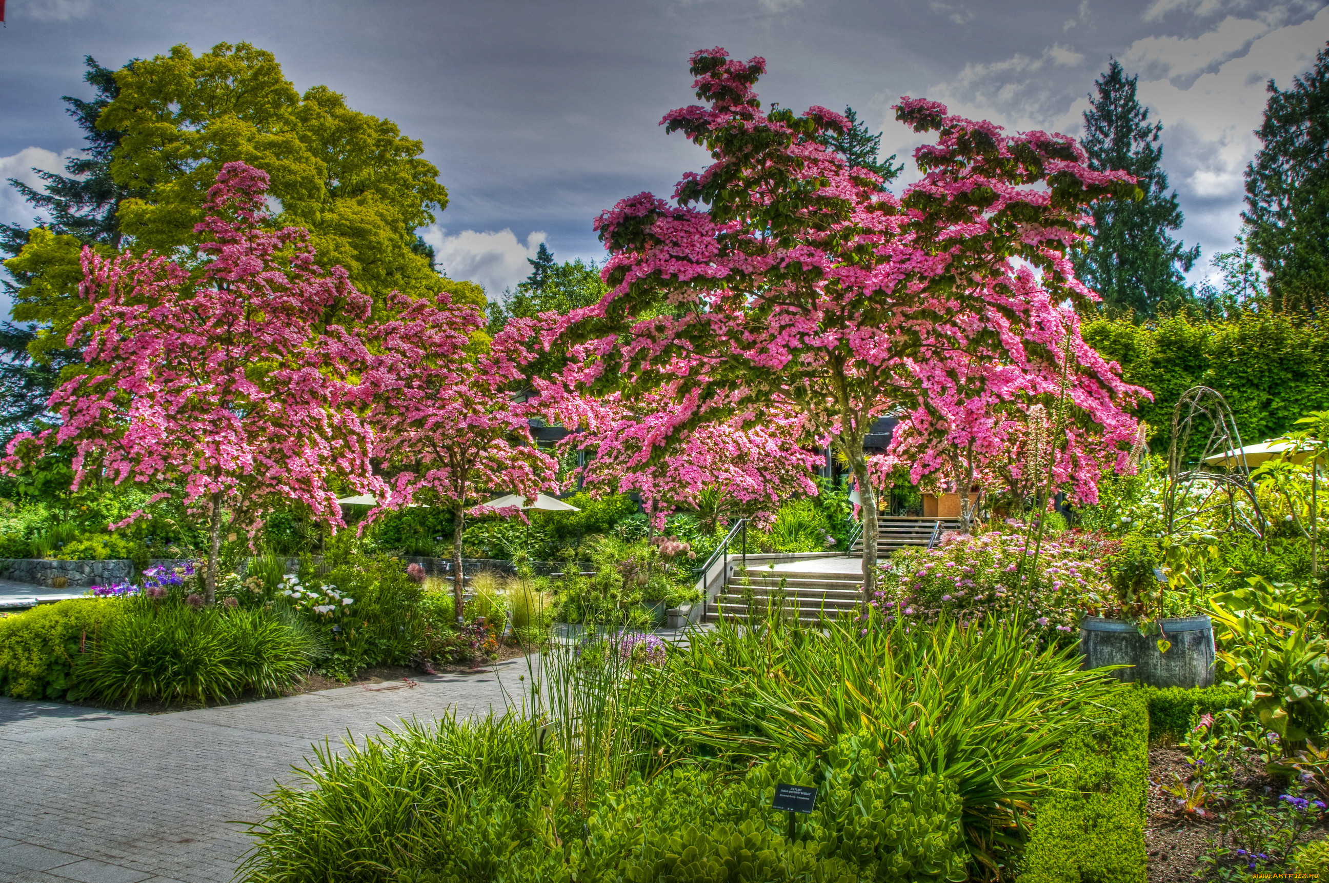 vandusen, botanical, garden, vancouver, , , , , 